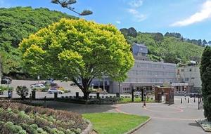 Hotel sale in Wellington NZ